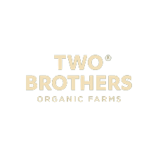 download-removebg-preview